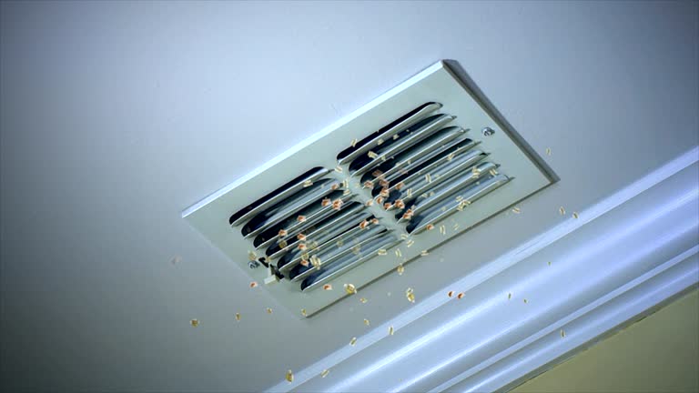 Best HVAC System Cleaning  in Gray Summit, MO
