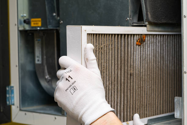 Best Duct Cleaning for Offices  in Gray Summit, MO