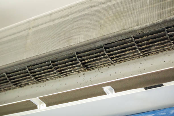 Best Affordable HVAC Duct Cleaning  in Gray Summit, MO